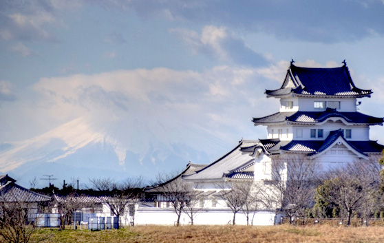 野田市でのお葬式